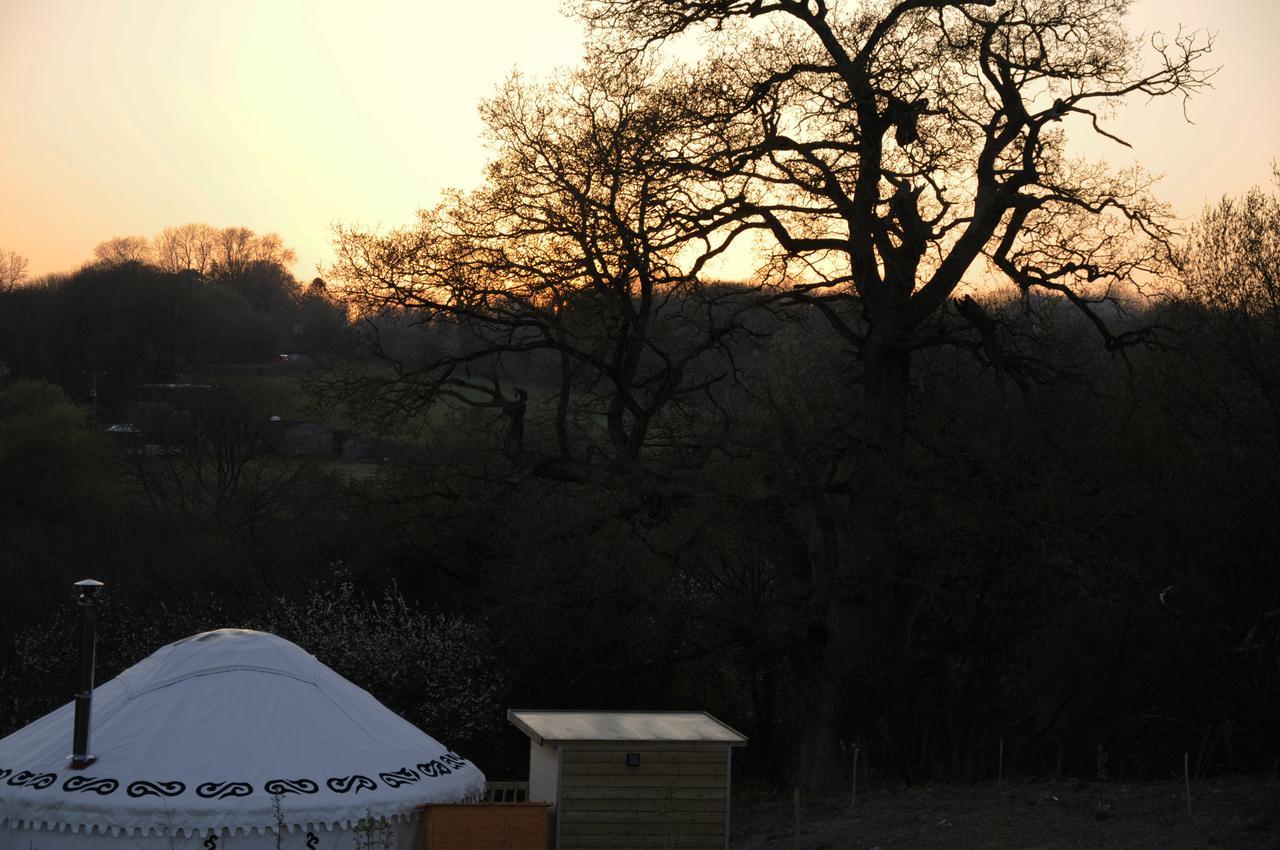 Hotel Glamping On The Hill Mells Exterior foto